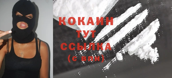 сатива Кулебаки