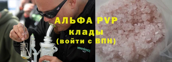 сатива Кулебаки