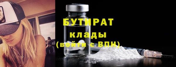 сатива Кулебаки