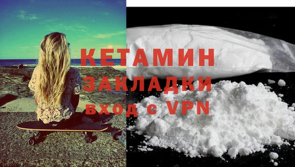 сатива Кулебаки
