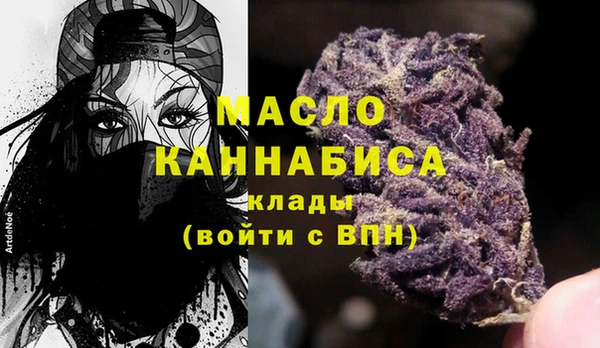 сатива Кулебаки
