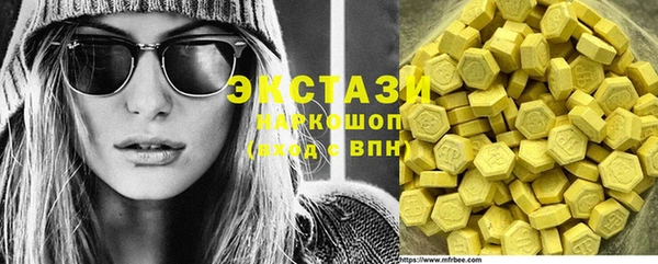 сатива Кулебаки