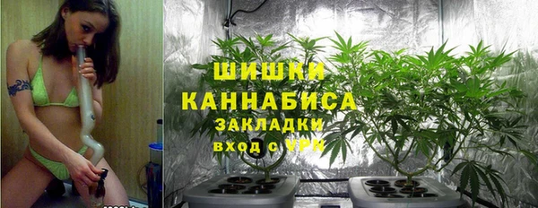 сатива Кулебаки