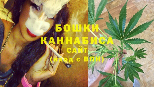 сатива Кулебаки