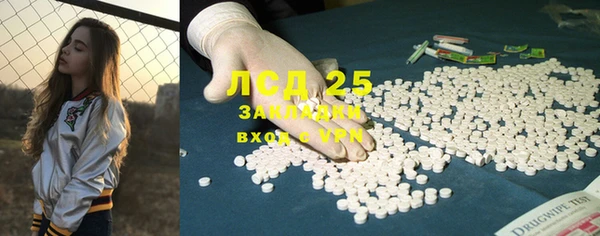 сатива Кулебаки