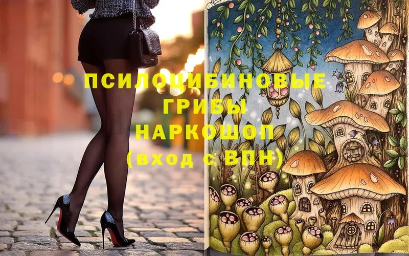 купить закладку  Улан-Удэ  KRAKEN ONION  Галлюциногенные грибы MAGIC MUSHROOMS 